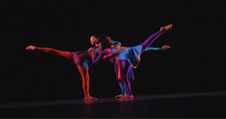 Illustration for article titled The Best in Black Dance